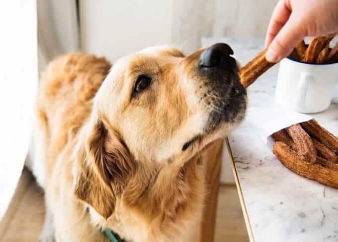 Dozer-Churros